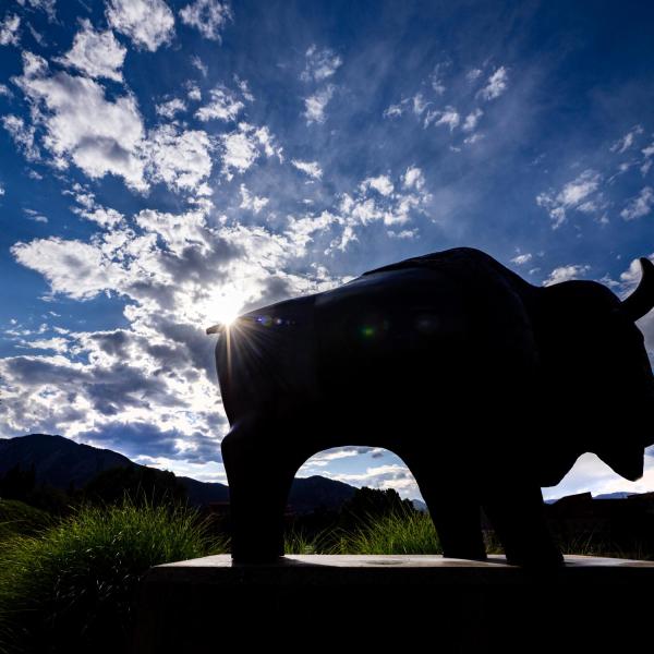Buffalo sculpture on campus, blue sky with sun peeking through faint clouds in the background.
