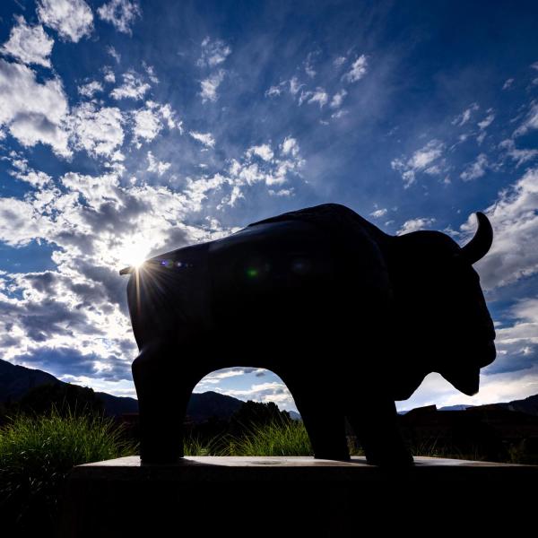 buffalo sculpture on campus
