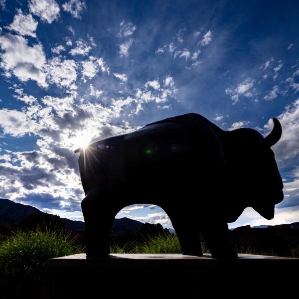 buffalo sculpture on campus