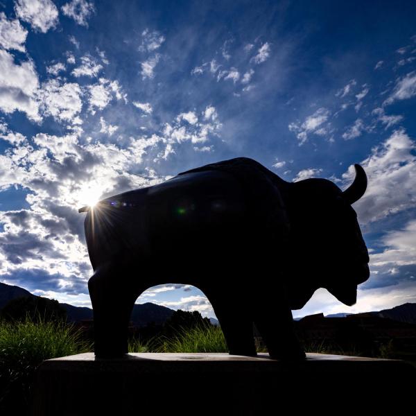 Silhouette of a buffalo sculpture on campus