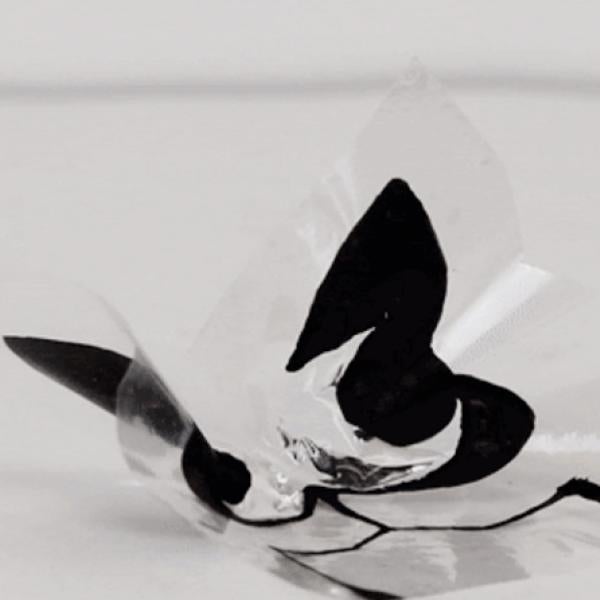 Electriflow butterfly flaps its wings