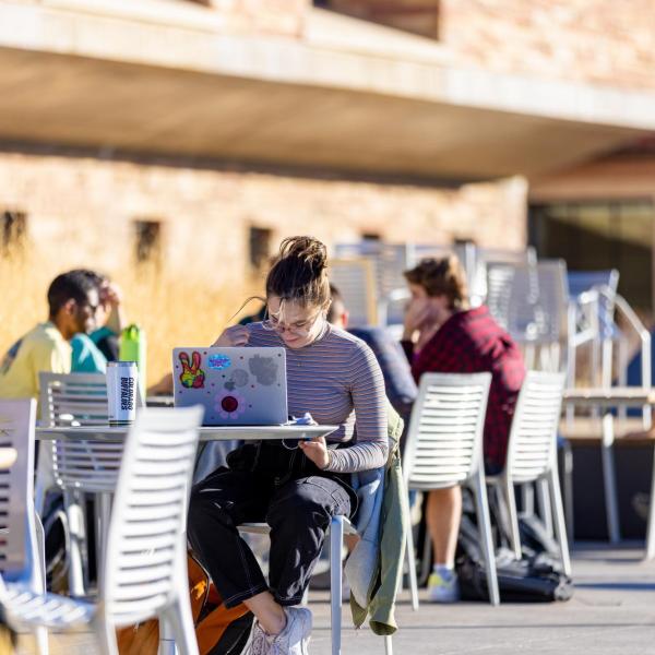 students working at tables outside