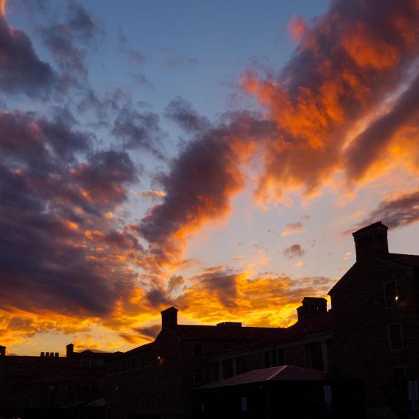 Silhouette of campus buildings with sunset in background