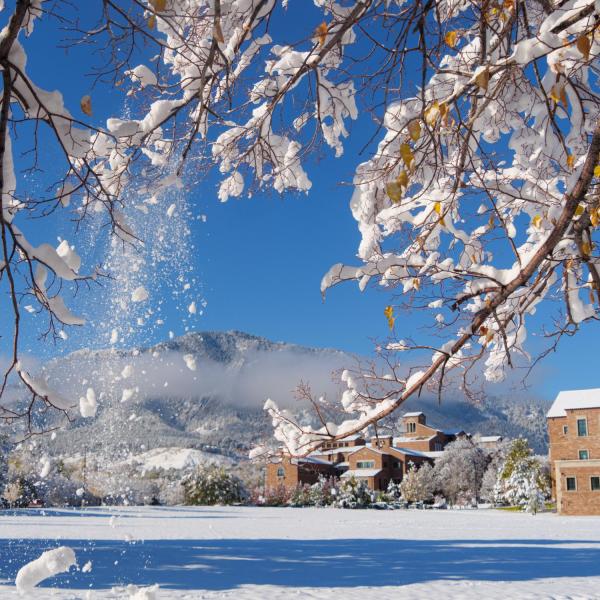 Snowy campus