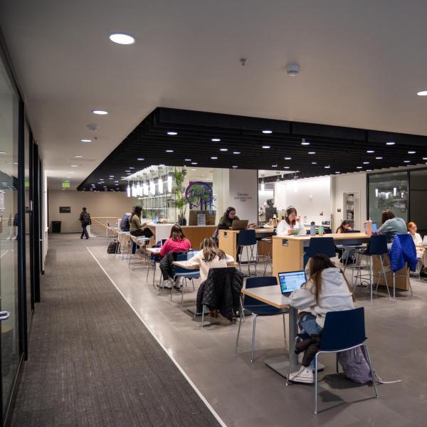 Students studying indoors