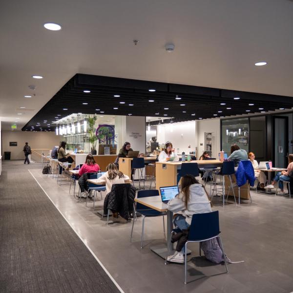Students studying indoors on campus