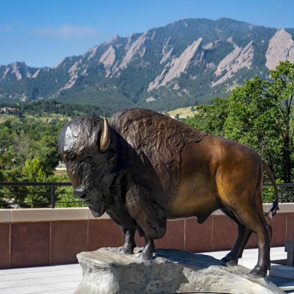 Ralphie statue on the CASE rooftop