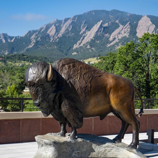 Ralphie statue on the CASE Building roof