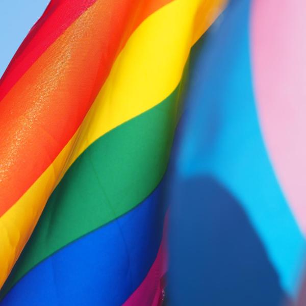 LGBTQ and trans pride flags