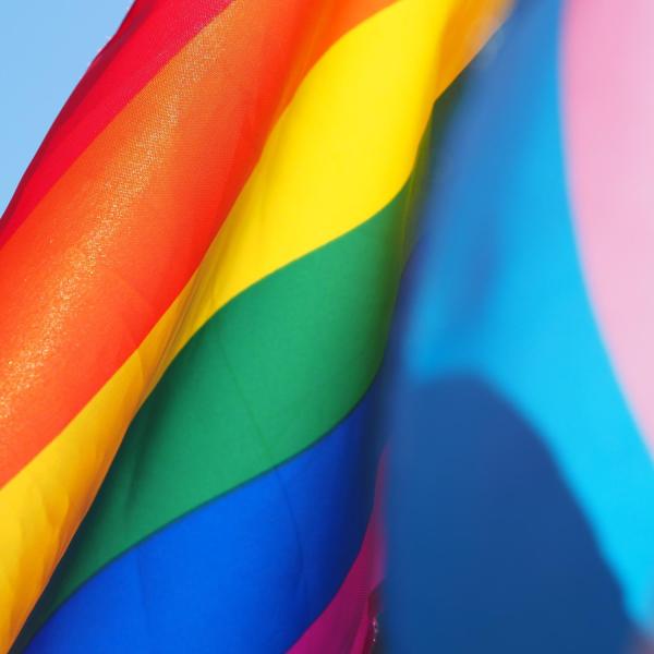 LGBTQ+ pride flags