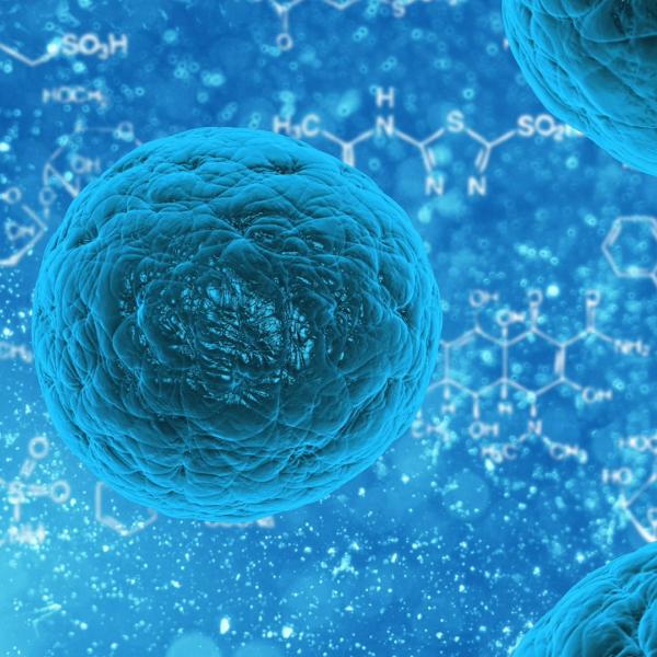 Cells under a microscope