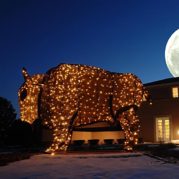 Buffalo light sculpture