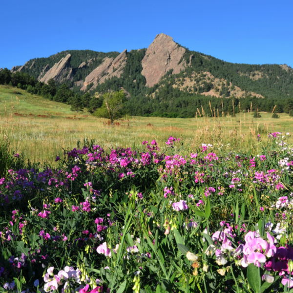 Chautauqua Park