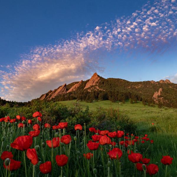 Chautauqua Park.