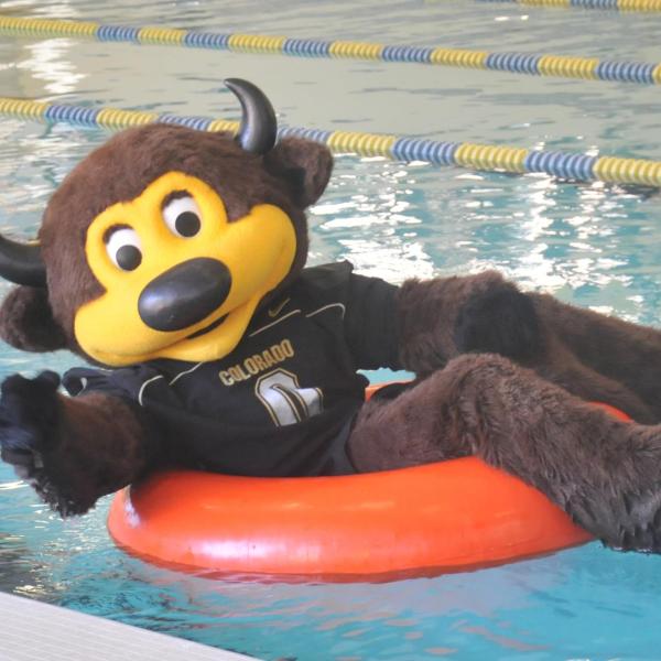 Chip the buffalo mascot floating in an inner tube in a pool