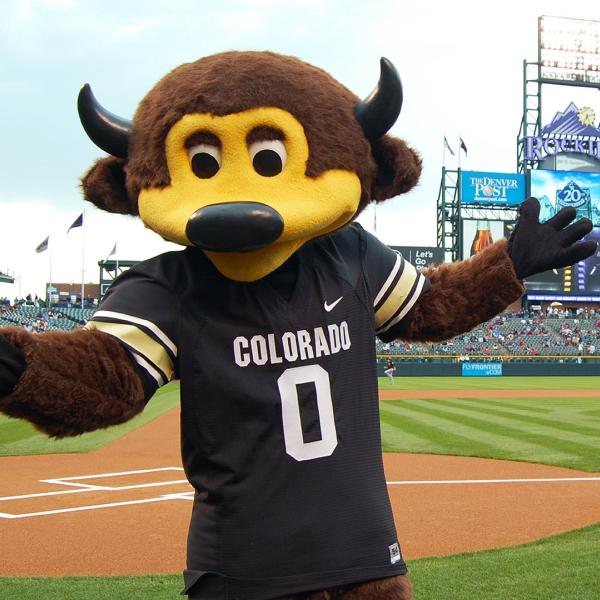 Chip the Buffalo mascot at Coors Field
