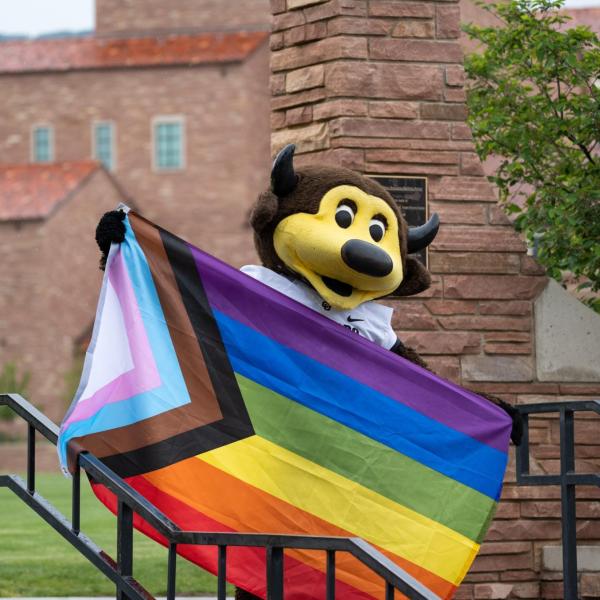Chip the buffalo mascot with a pride flag