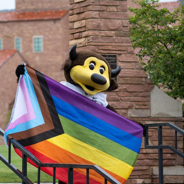 Chip the buffalo mascot with a pride flag on campus