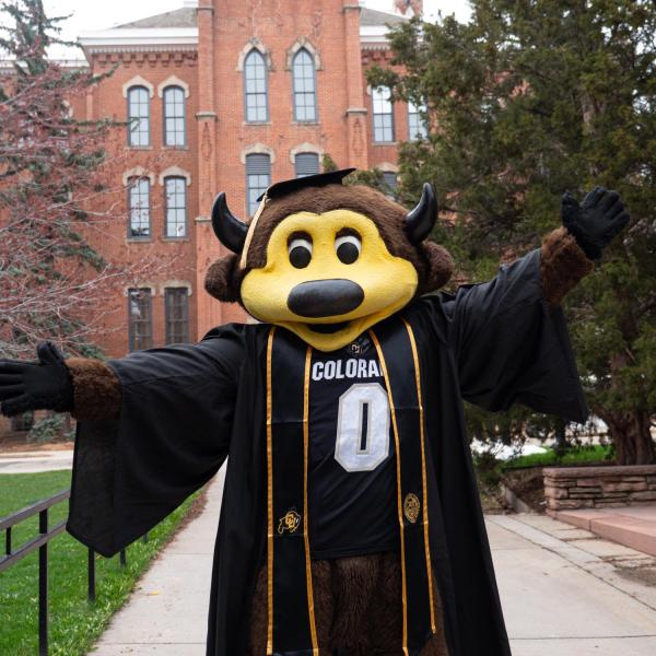 Chip in regalia to join others in celebrating Commencement . (Photo by Glenn Asakawa/University of Colorado)