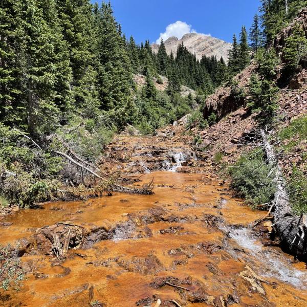 Iron oxides stain the bed of Upper East Mancos River in southwestern Colorado