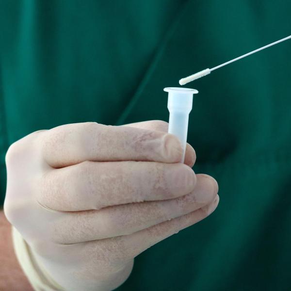 A gloved hand holds a Covid test