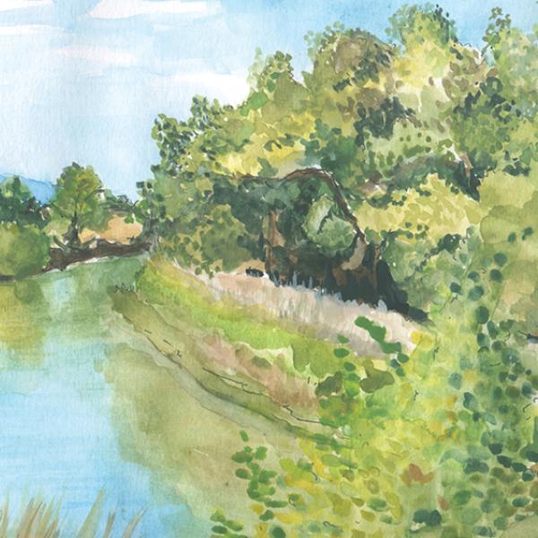 A watercolor painting of a creek.