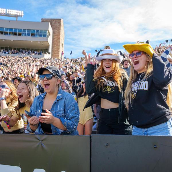 football fans cheering in the stands