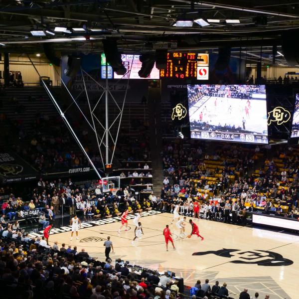 CU men's basketball team vs. New Mexico