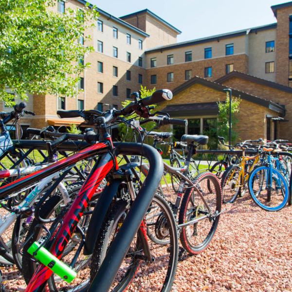 bikes on a rack on campus