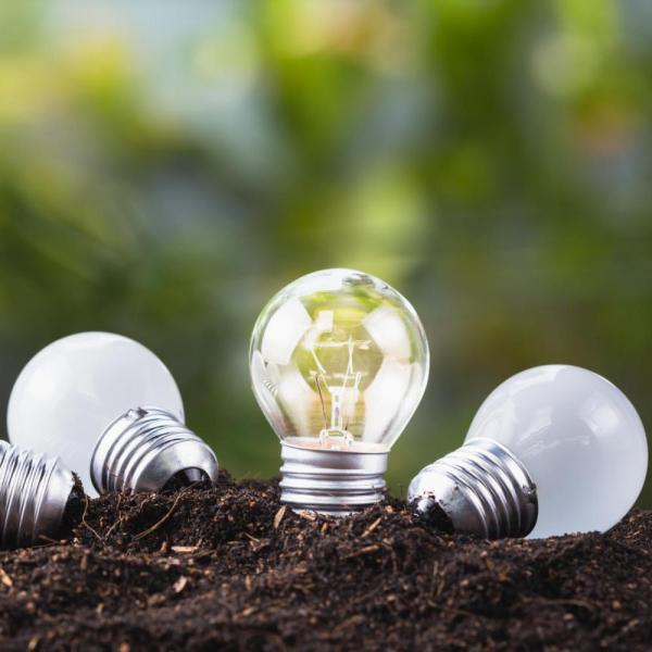Lightbulbs in the ground