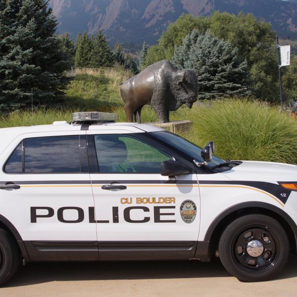 CUPD car