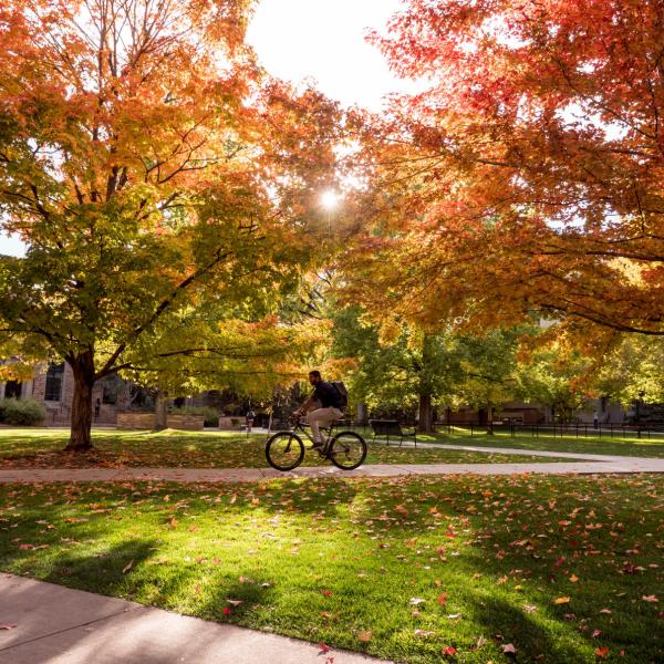 Person riding a bike on campus surrounded by fall foliage
