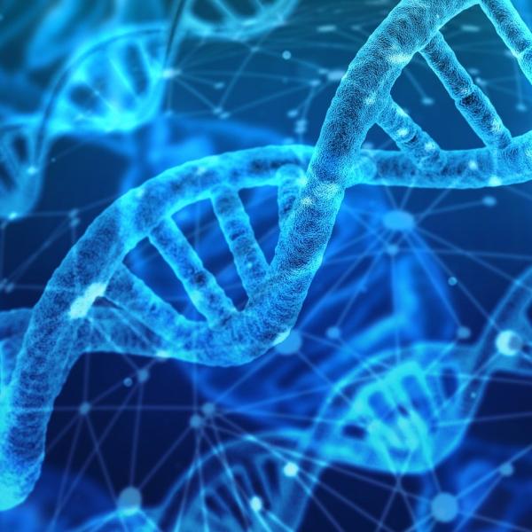illustration of DNA
