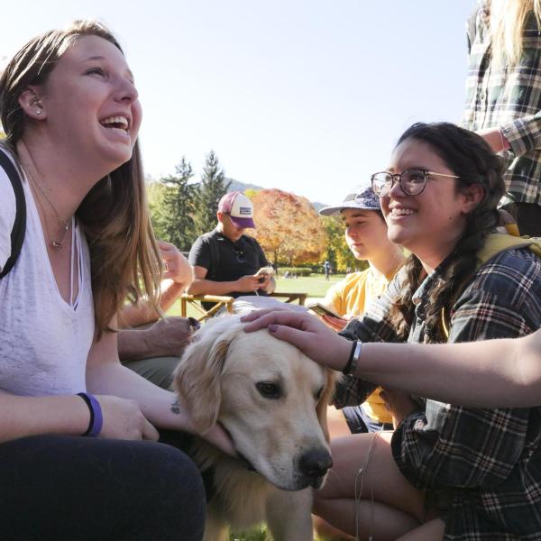Students pet a therapy dog on campus
