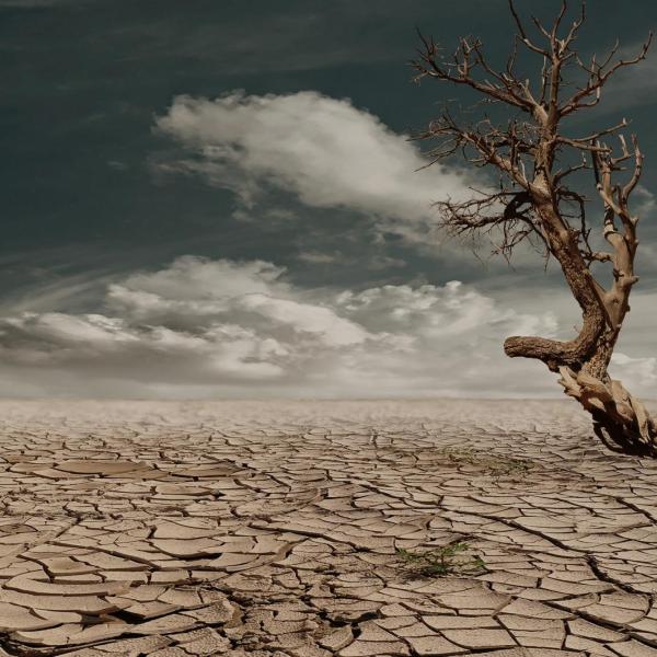 A drought-parched landscape