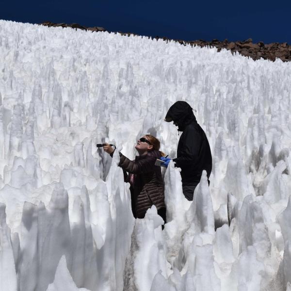 Researchers in the field