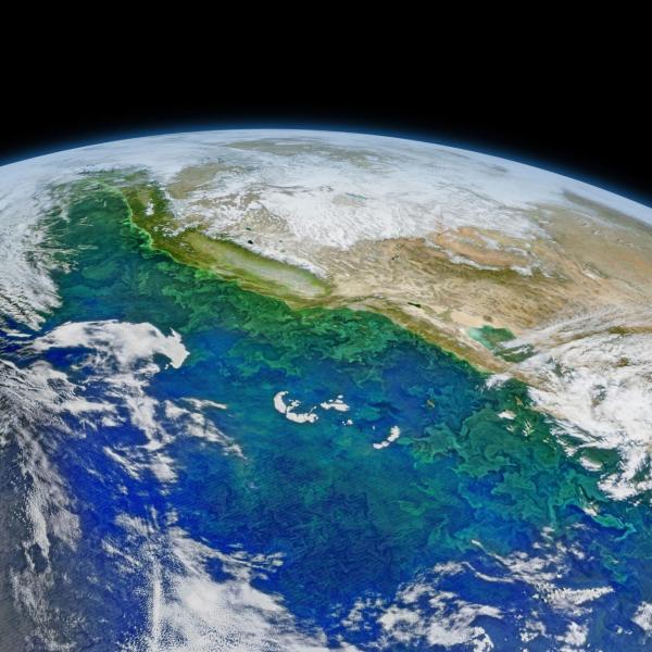 California current