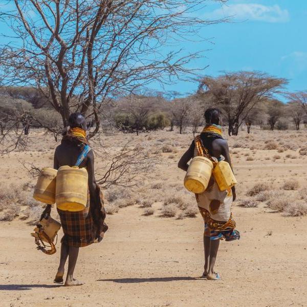 People in East Africa who have been helped by one of the Mortenson Center's programs