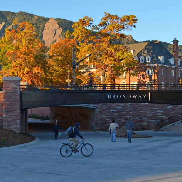 Campus Fall