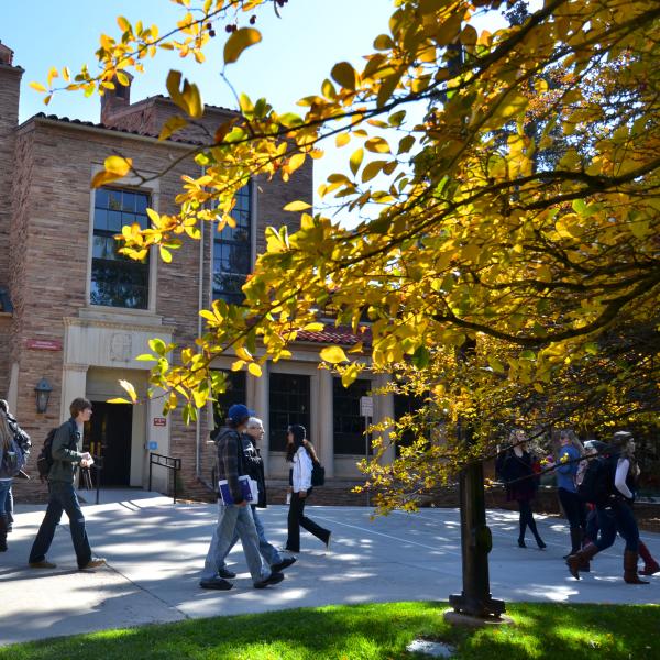 Fall on campus