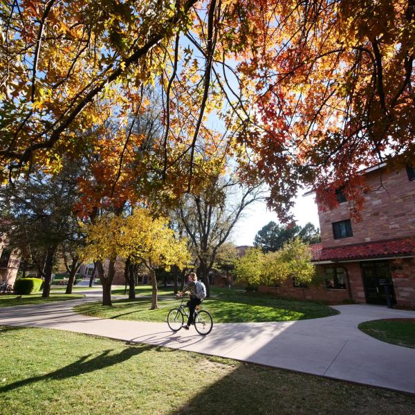 fall foliage on campus