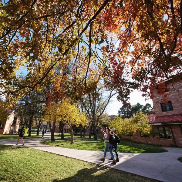 Fall colors on campus