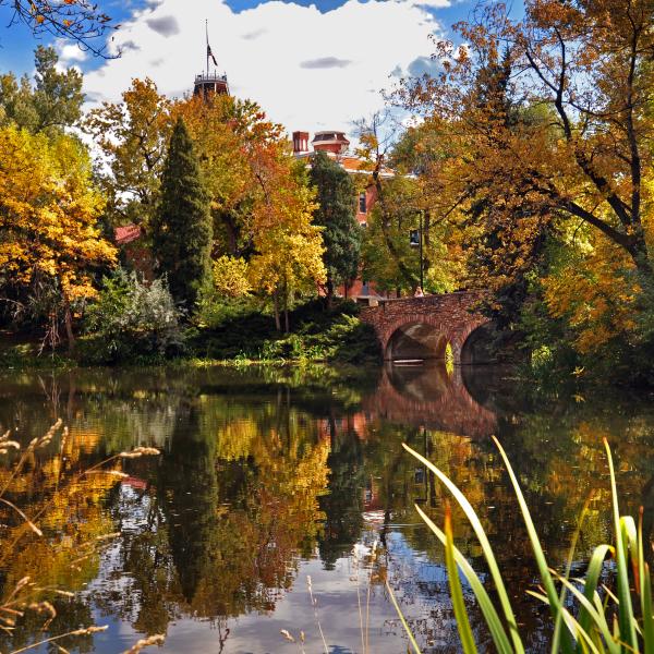 fall on campus