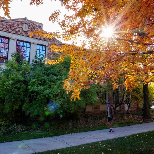 Sun peaking through golden leaves on campus