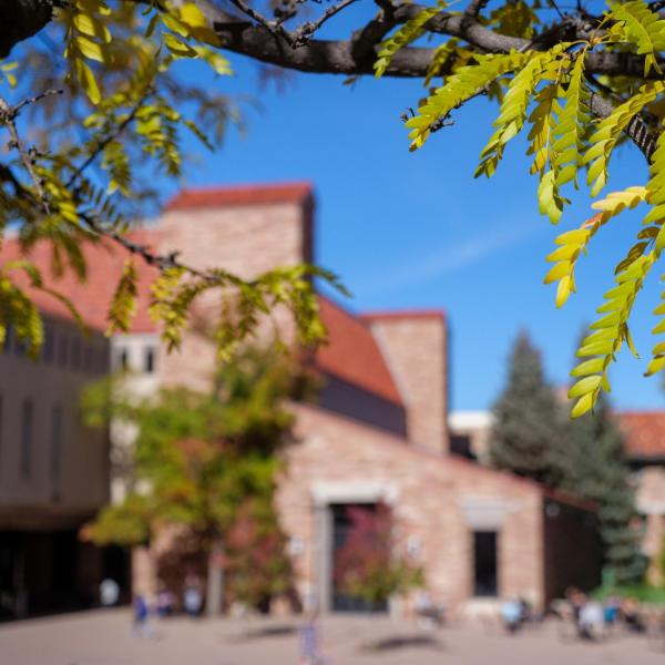 Campus scenic