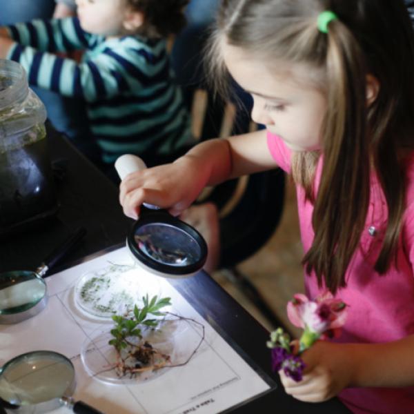 Child looks at plant through magnifying glass