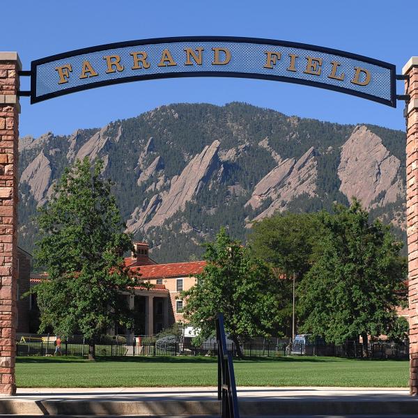 Farrand Field oak trees