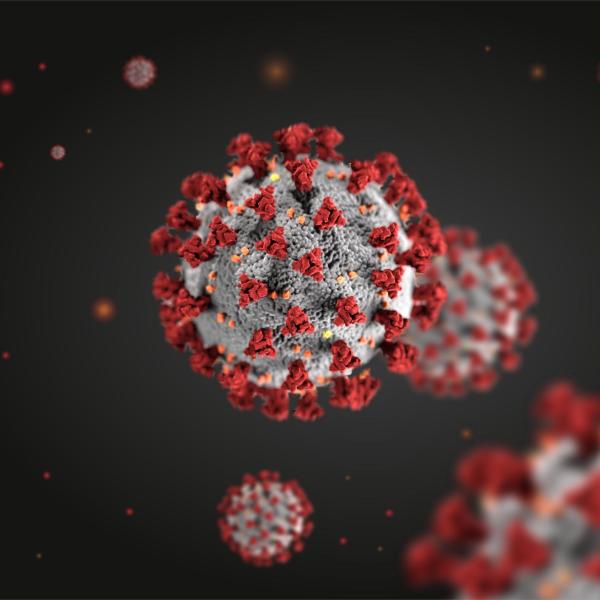 SARS-CoV-2 virus