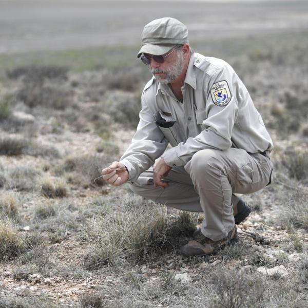 U.S. Fish and Wildlife Service worker surveys grass