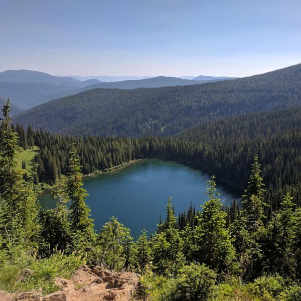 Rocky Mountain forests